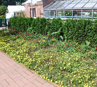 Dowesee-Park