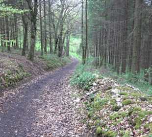 Premiumwanderweg Hochgebürzelt
