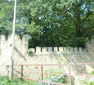 Burg Falkenstein