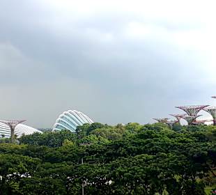 Gardens by the Bay