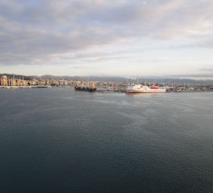Hafen Palma de Mallorca