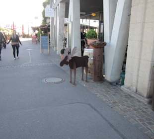 Promenade Friedrichshafen