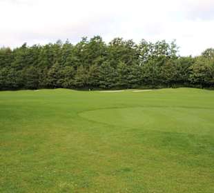 Wald umsäumte Fairways