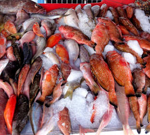 Gang über den Marché de la Darse