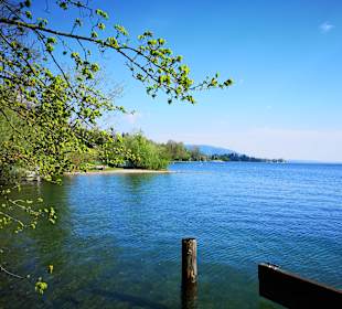 Attersee