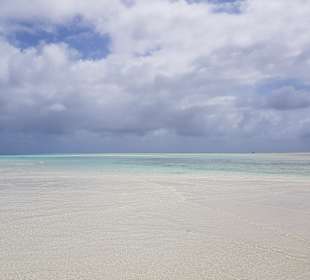 Mnemba Island