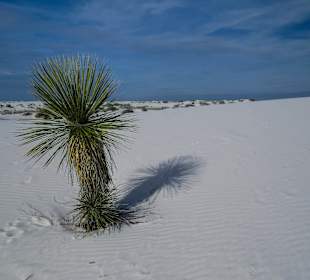 White Sands National Monument