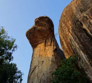 Elefantenreiten Sigiriya