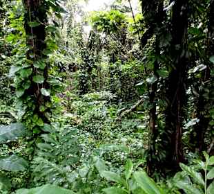 Impressionen aus den Jardins de Valombreuse