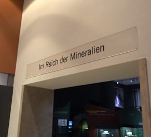 Staatliches Naturkunde Museum