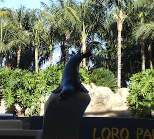 Loropark
