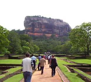 Der Sigiriya Felsen