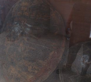 Fahrradausflug in die Wüste