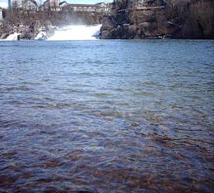 Rheinfall