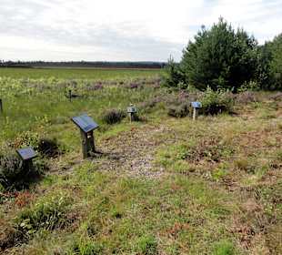 Impressionen vom Moorerlebnispfad