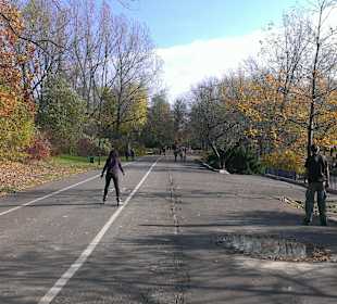 Ścieżka parkowa jesienią