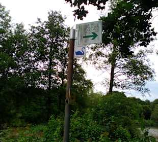 Ohmbachsee Tour in Rheinland-Pfalz