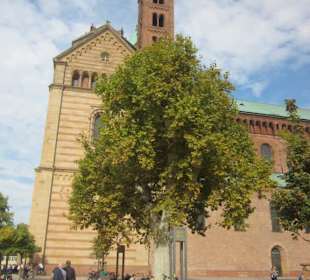 Dom