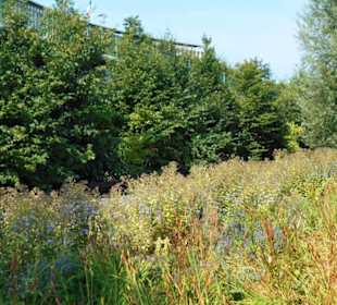 Park Prairie Saint Sever