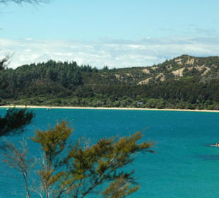 Natur in Abel Tasman