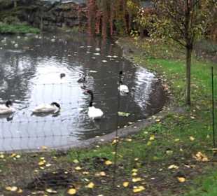 Tierpark 