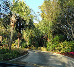 Zufahrt ins Paradies