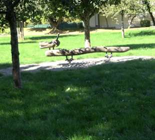 Schaukelweg an der Donau