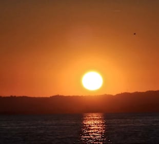 Sonnenuntergang am Hafen