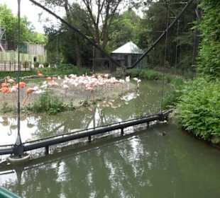 Tierpark Hellabrunn - Eingang