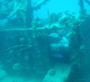 Die vesenkten Teile zur "Verschönerung"