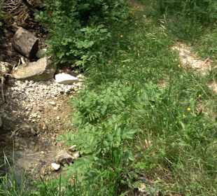 Schlichemquelle Tieringen