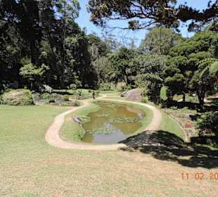 Botanischer Garten Hakgala