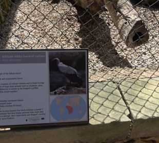 Malta Falconry Centre