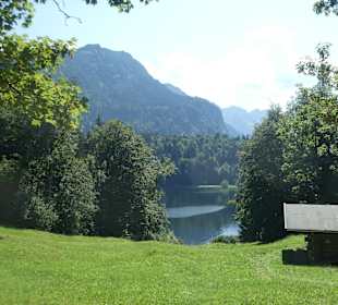 Bei einem Spaziergang am Freibergsee