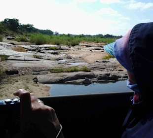 Krüger Nationalpark