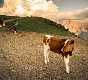Wandern Bressanone / Brixen