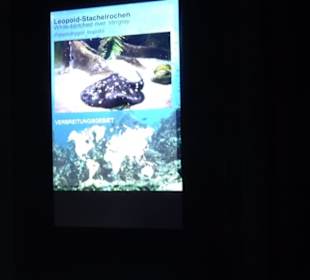 Tierpark Hellabrunn - Fische