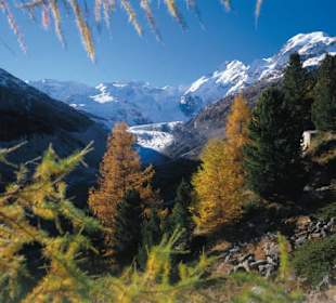 Herbstzeit 
