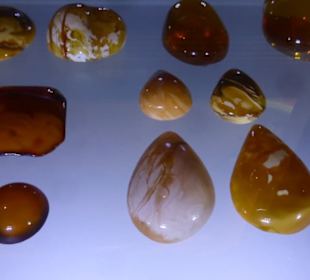 Im Bernsteinmuseum: tolle Bernsteinarbeiten