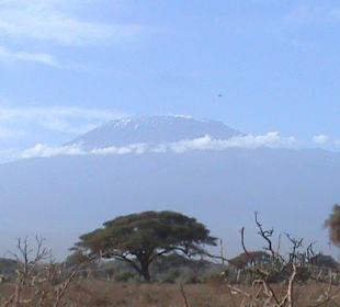 Schnee auf dem Kilimanjaro