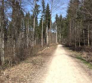 Premiumwanderweg "hochgeblickt"