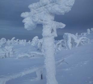 Tja, wo gehts denn jetzt zum Ziel?