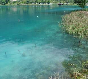 Reste der alten Pfähle