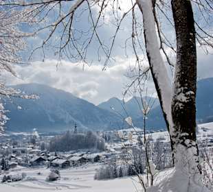Skigebiet Winklmoosalm/Steinplatte