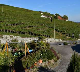 Iselisberg