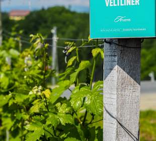 Wandern Oberhaag