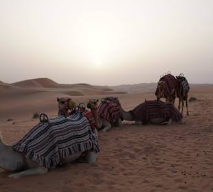 Kameltour zum Sonnenaufgang