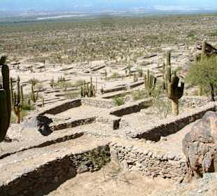 Quilmes - Ruinen aus der Vor-Inka-Zeit