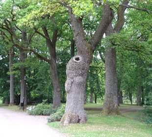 Schlosspark
