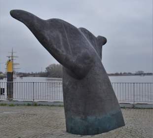 Ansichten der Vegesacker Wal-Schwanzflosse